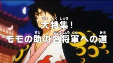 One Piece: Dai Tokushuu! Momonosuke no Mei Shogun e no Michi