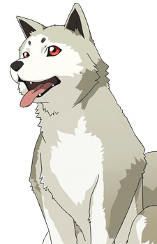 Koromaru