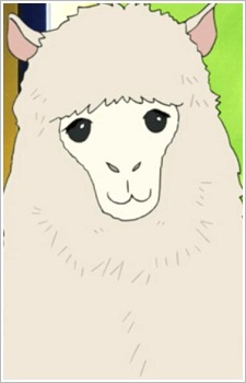 Alpaca