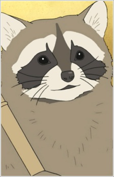 Raccoon