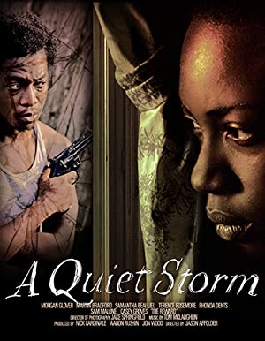 دانلود فیلم A Quiet Storm