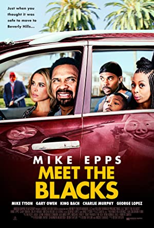 دانلود فیلم Meet the Blacks